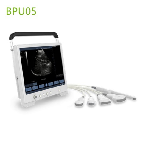 Touchscreen ultrasound machines,portable ultrasound machine price,used portable ultrasound machine,best laptop ultrasound machine,portable ultrasound factory sell directly,price from medical ultrasound,medical scan machines