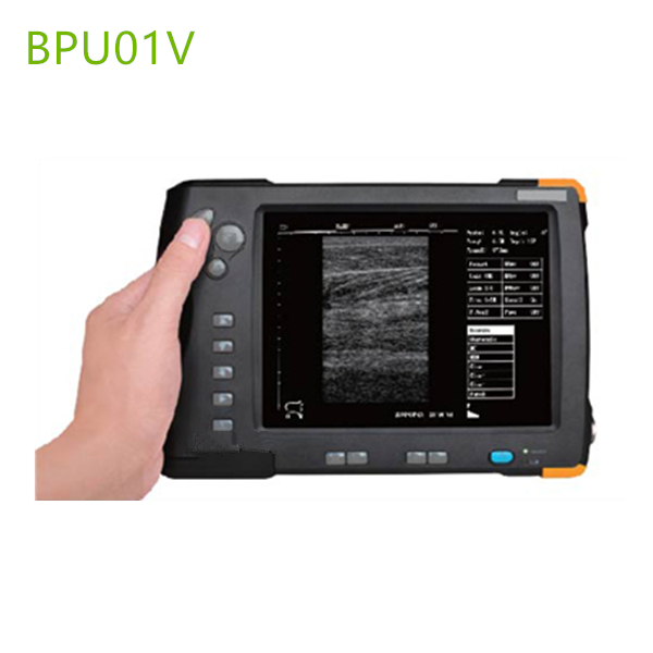 Brand New Palm Veterinary Ultrasound Machines,Portable ultrasound scanner,ultrasound scanner,ultrasound machines price for vet ,vet medical equipment supplies