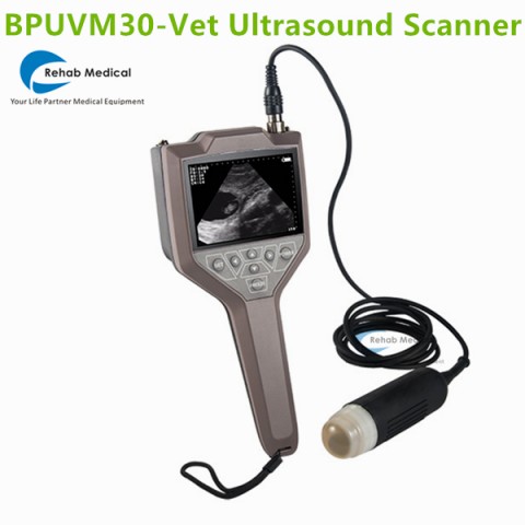 pig ultrasound,veterinary ultrasound equipment,veterinary ultrasound,sonoscape ultrasound,mindray ultrasound,ultrasound machine for pregnancy,dog pregnant ultrasound scanner,dog ultrasound machine,ultrasound machine price,